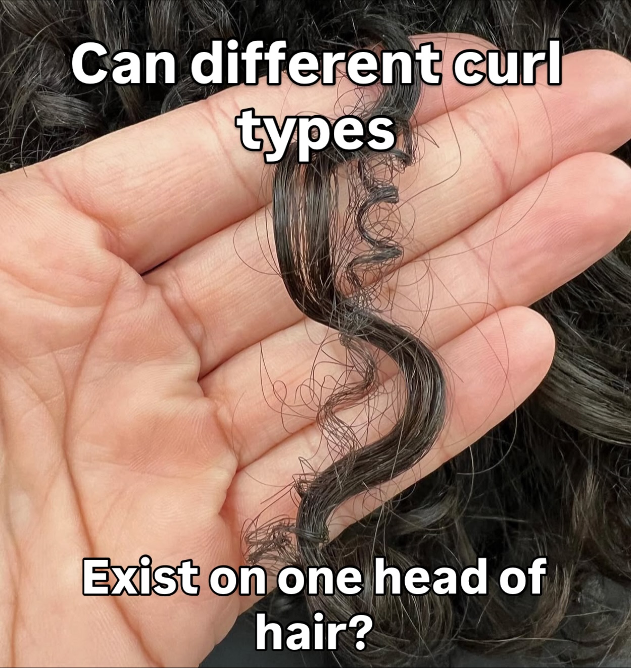 The answer: Absolutely!
It’s very common to have:
🌀2B waves in front and 3A curls underneath
➰4A coils near the crown and 3B by the nape
✨A mix of all, from coils and curls to waves!
Luckily, our routine does not have to differentiate much to accommodate our different curl types. These different textures can coexist harmoniously within the same routine- and the right curly cut can actually make the different textures compliment one another!

Curious to learn more? 
Check out the link in our bio to book a Discover Your Curls session with one of our curl specialists!🤍🔗