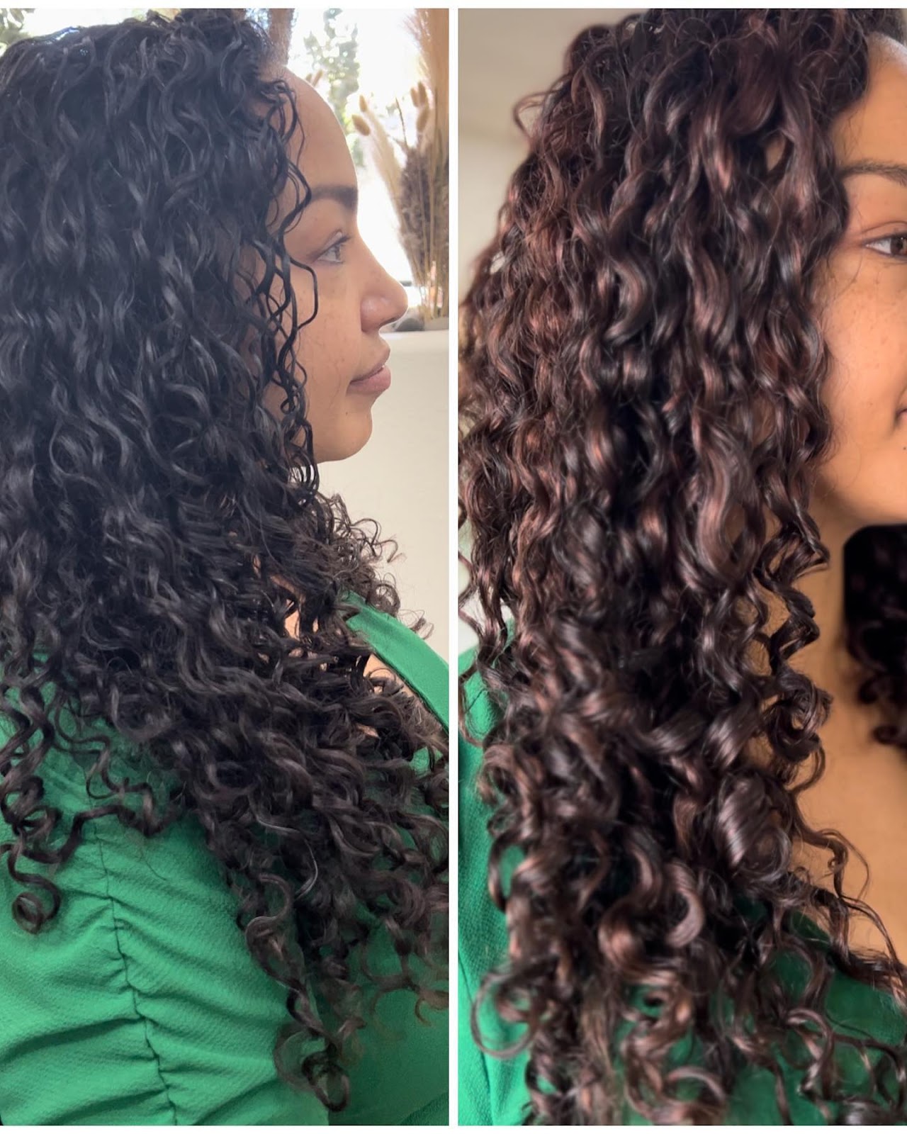 hair oils and butters, curl porosity, Gilbert curly hair salon, Curls Gone Wild Salon is the top curly hair salon in Gilbert. Led by Melanie brown, a dedicated stylist with a emphasis on education. Offering clients the best curly hair cuts in Gilbert and also teaching clients about maintaining their hair. Gilbert hair salon, Gilbert curly hair cuts, hair salon for curly hair Gilbert, curly hair cut in Gilbert, Gilbert curly hair