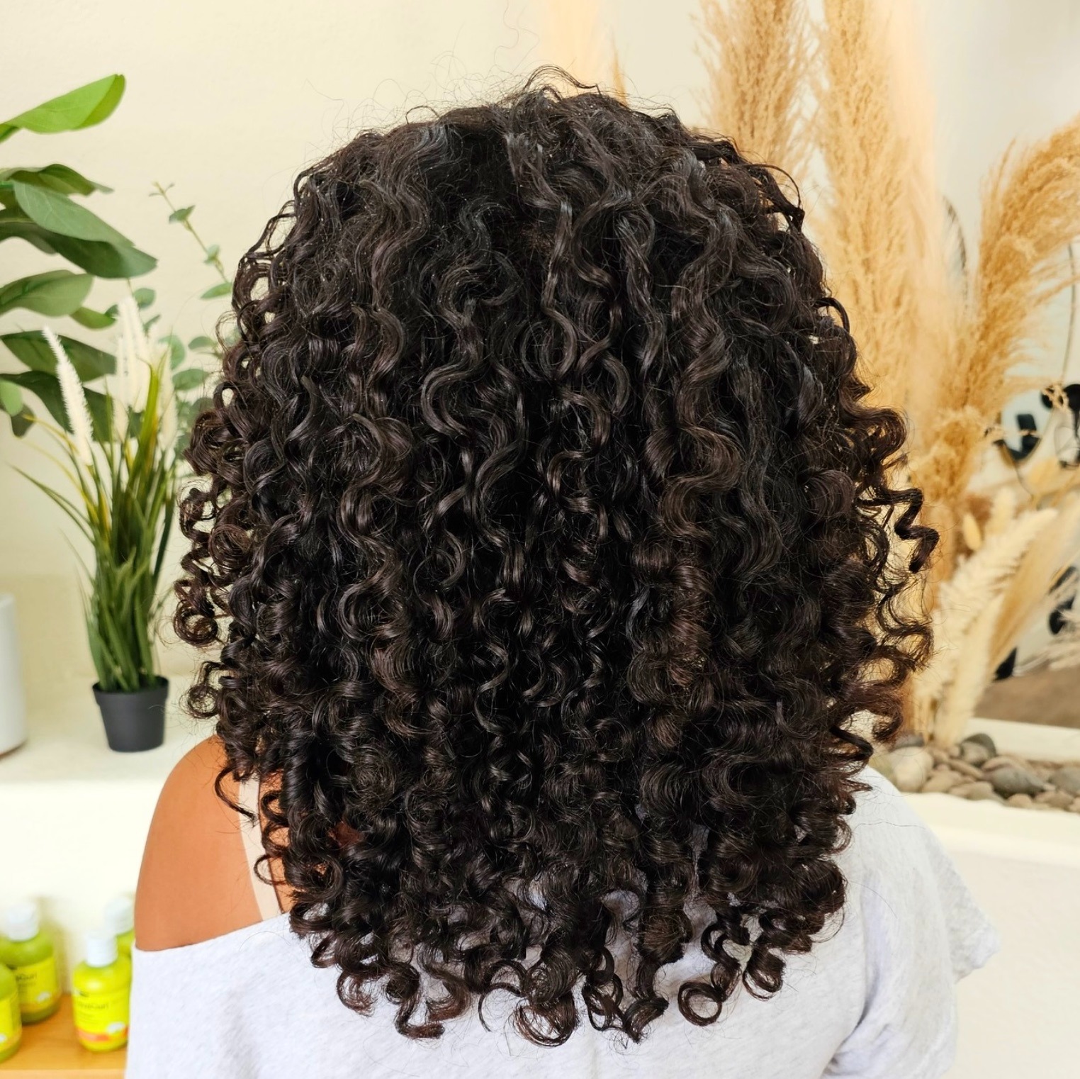 Curls Gone Wild Salon is the top curly hair salon in Gilbert. Led by Melanie brown, a dedicated stylist with a emphasis on education. Offering clients the best curly hair cuts in Gilbert and also teaching clients about maintaining their hair. Gilbert hair salon, Gilbert curly hair cuts, hair salon for curly hair Gilbert, curly hair cut in Gilbert, Gilbert curly hair curl clumping, finger coiling, curl families, product application